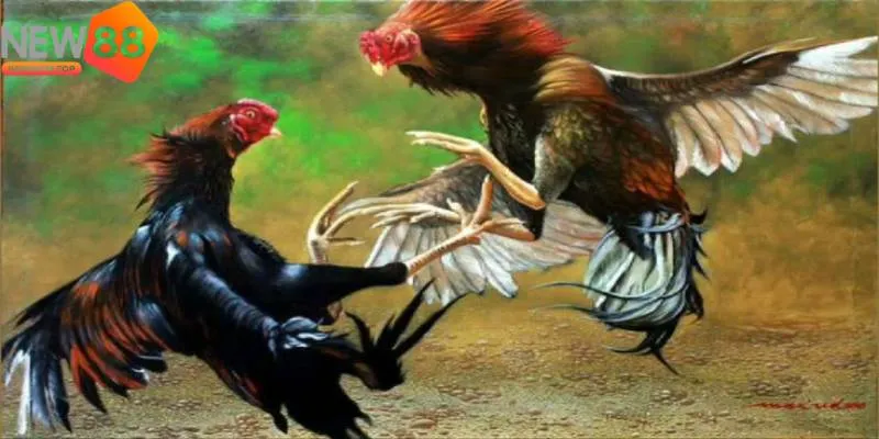Kinh nghiệm của các cao thủ luôn mang lại nhiều lợi ích không ngờ