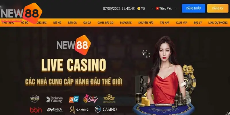 Nắm rõ các trường hợp NEW88 áp dụng chính sách miễn trừ