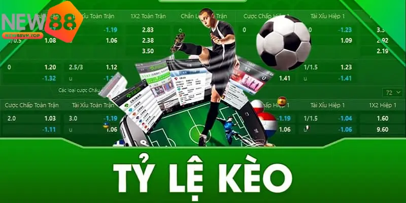 Tỷ lệ cược thể thao tại NEW88 cạnh tranh